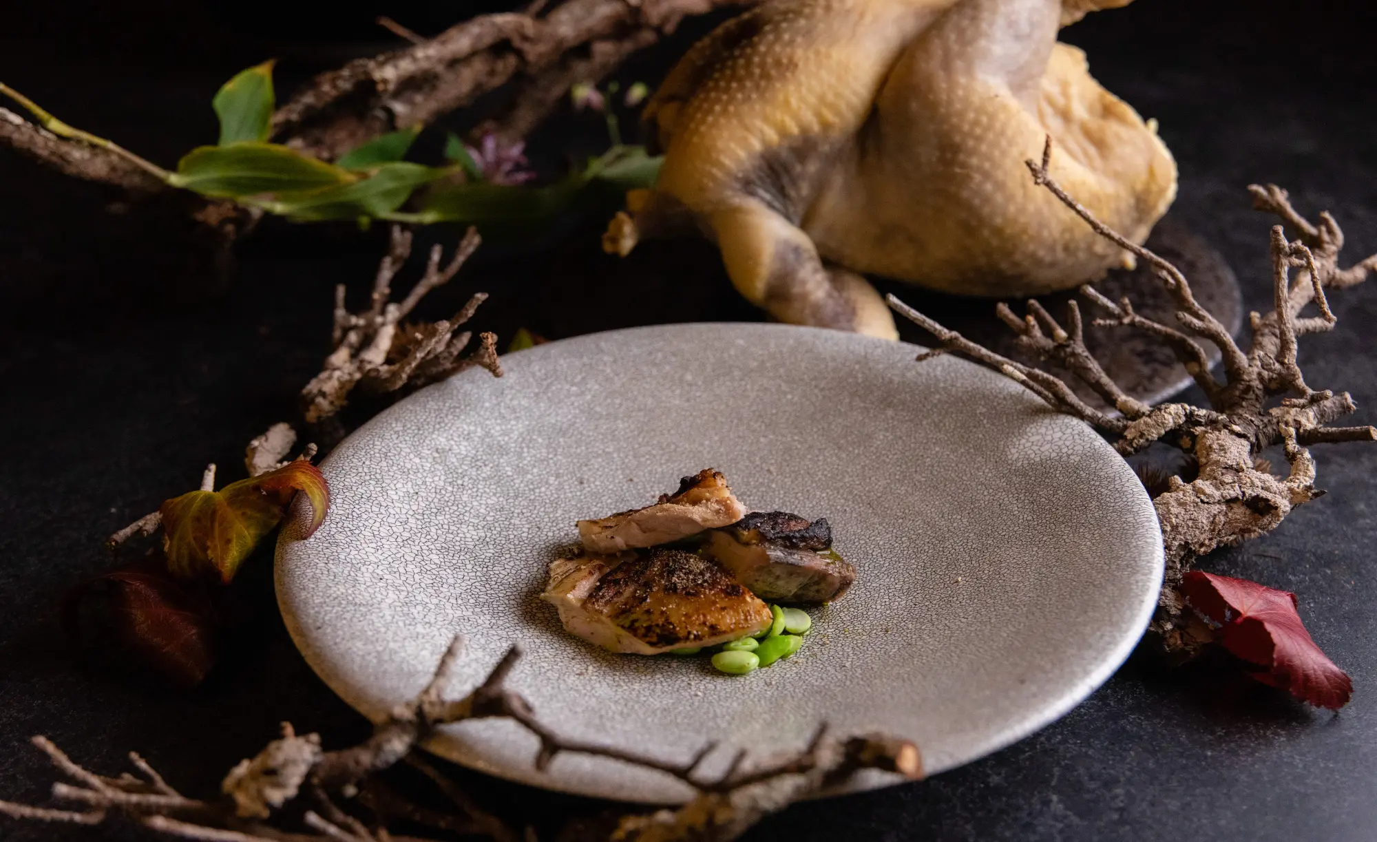 ほろほろ鶏（黒がね）