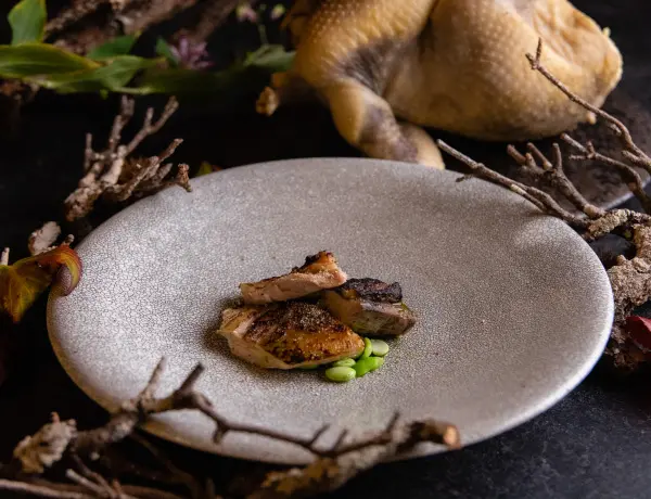 ほろほろ鶏（黒がね）